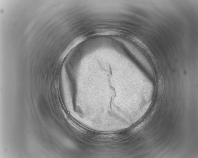 X0000054431425200508262336