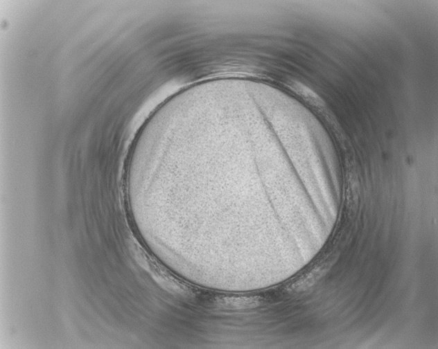 X0000054431427200508262336