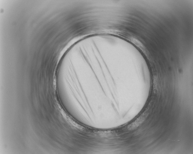 X0000054431428200508262336