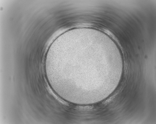 X0000054431429200508262336