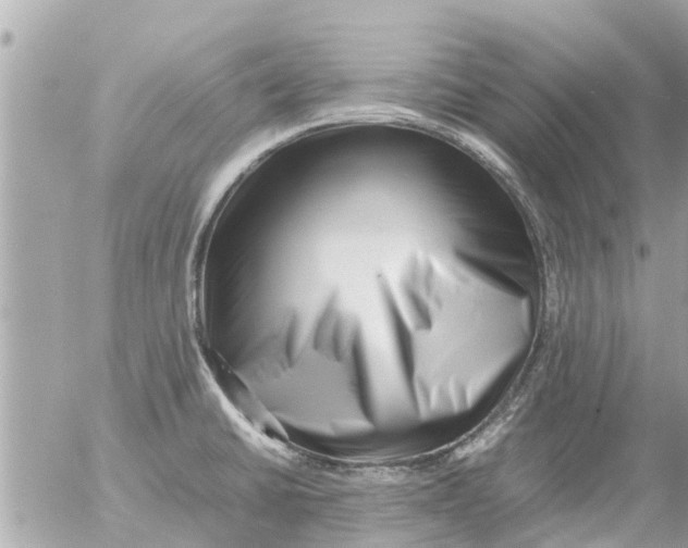 X0000054431430200508262336