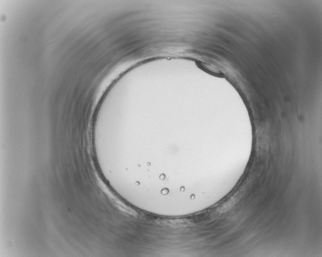 X0000054431432200508262336