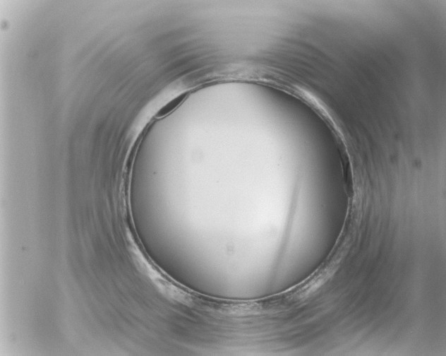 X0000054431434200508262336