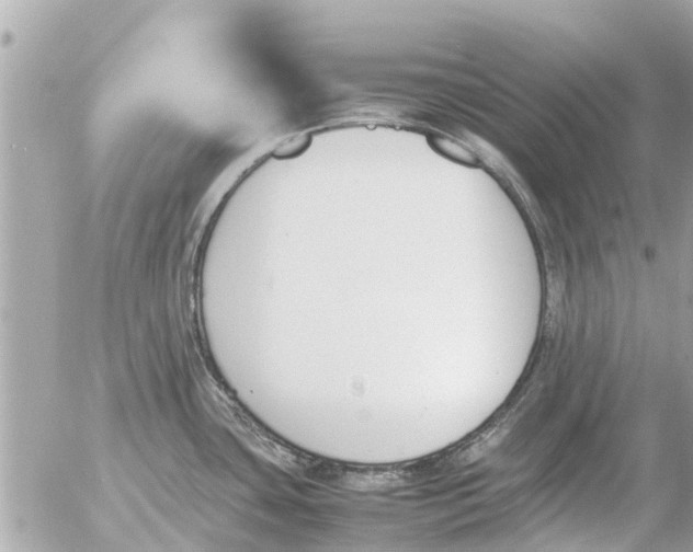 X0000054431435200508262336