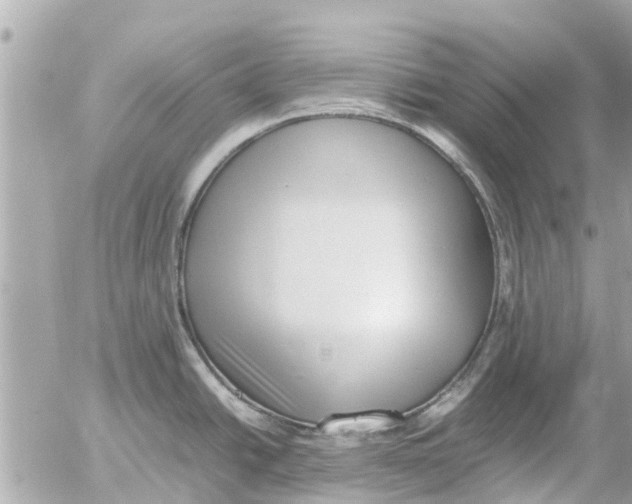 X0000054431438200508262336