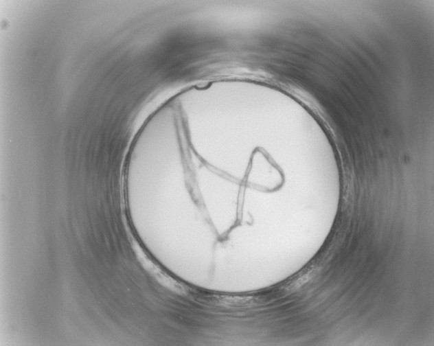 X0000054431439200508262336