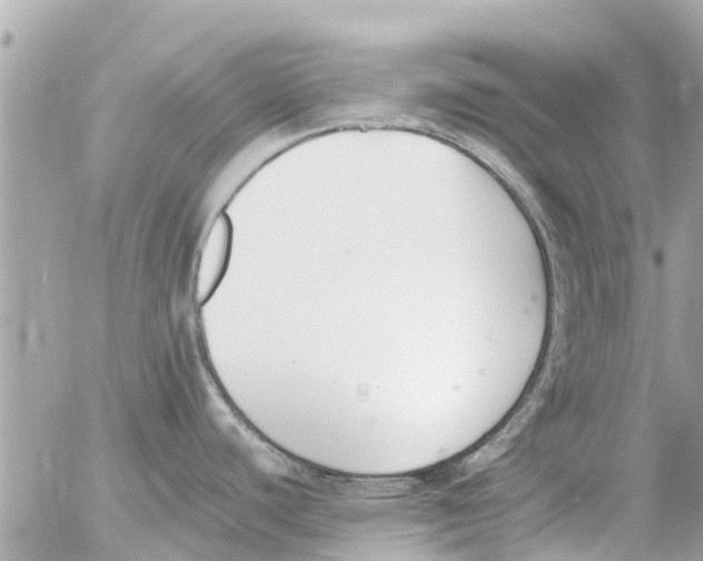 X0000054431440200508262336