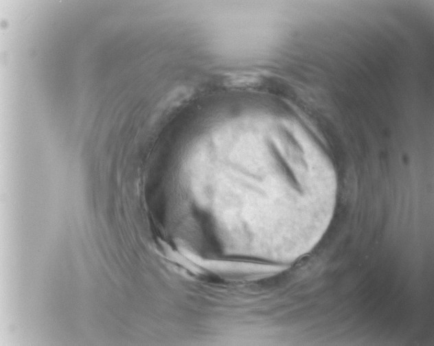 X0000054431441200508262335