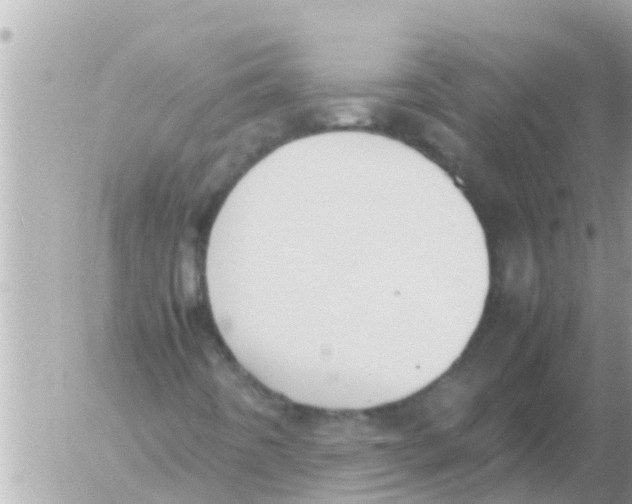 X0000054431442200508262335