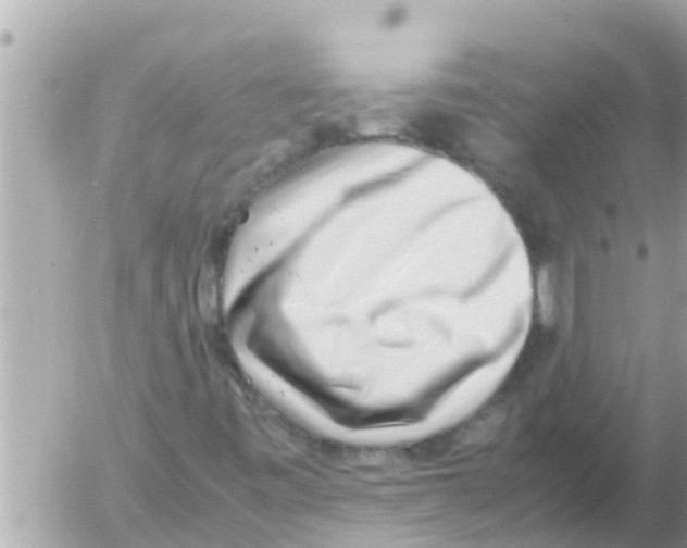 X0000054431443200508262335