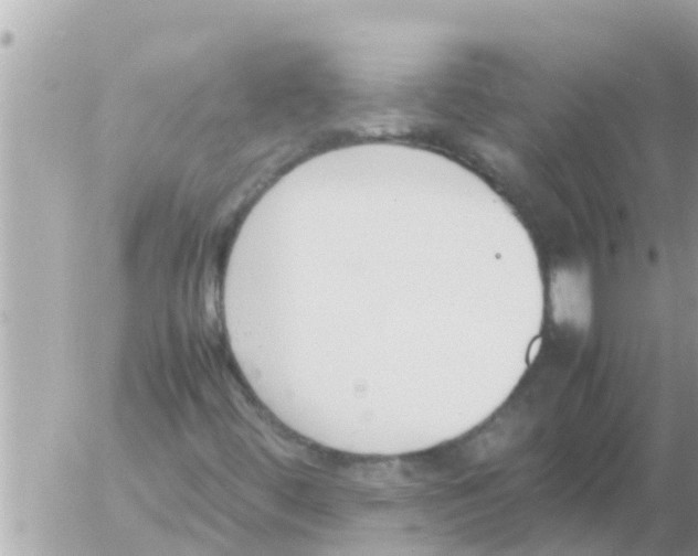 X0000054431444200508262335