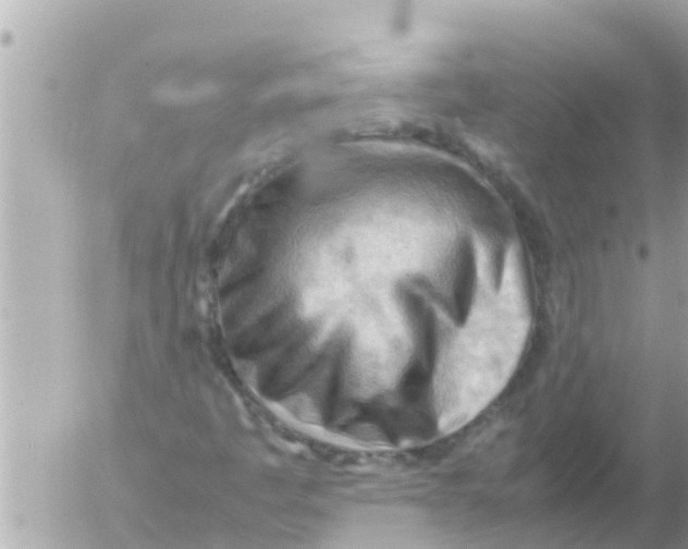 X0000054431445200508262335