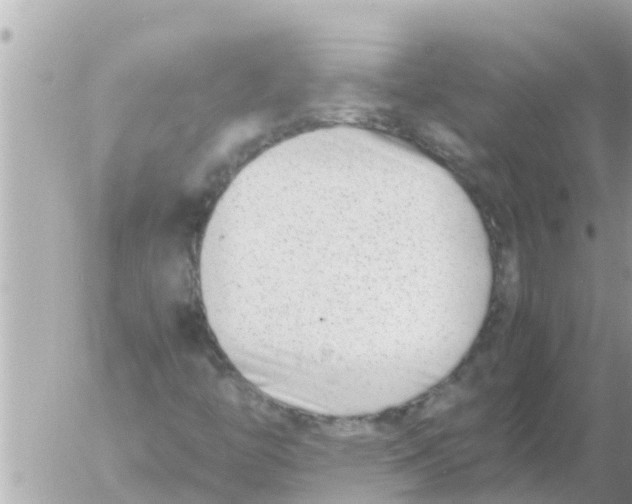 X0000054431446200508262335