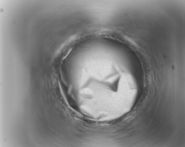 X0000054431447200508262335