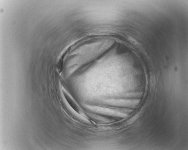 X0000054431449200508262335