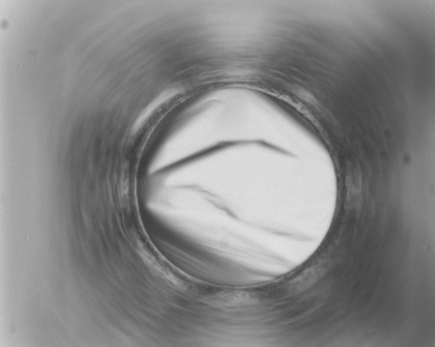 X0000054431450200508262335