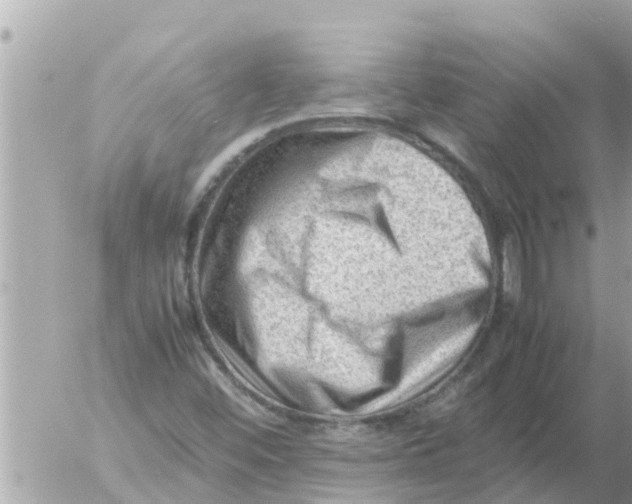 X0000054431452200508262335