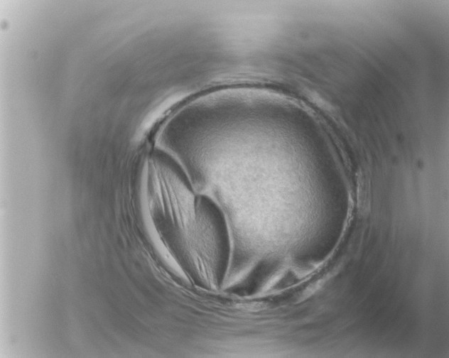 X0000054431453200508262335