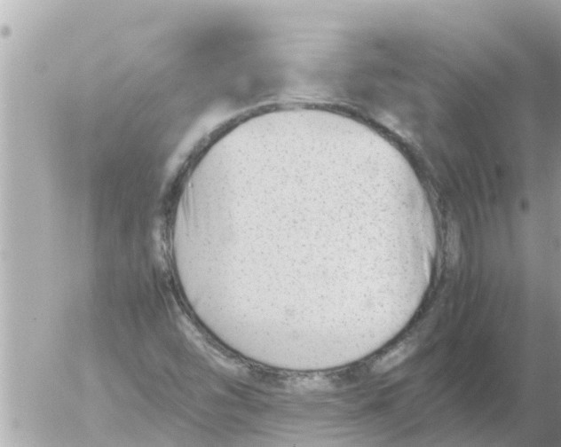 X0000054431454200508262335