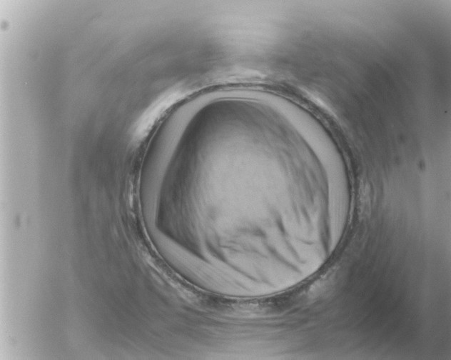 X0000054431455200508262335