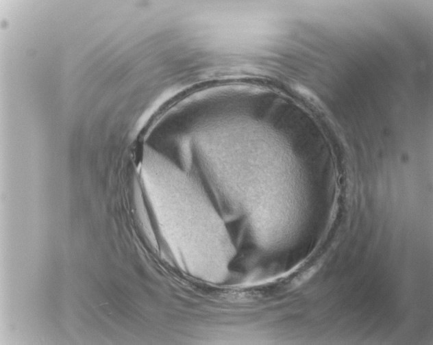 X0000054431457200508262335