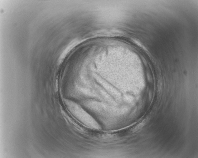 X0000054431459200508262335