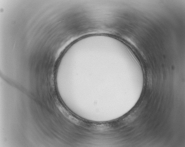 X0000054431460200508262335