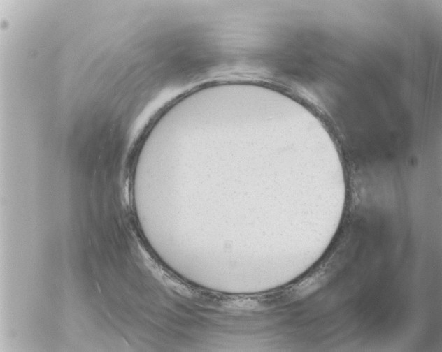 X0000054431462200508262335