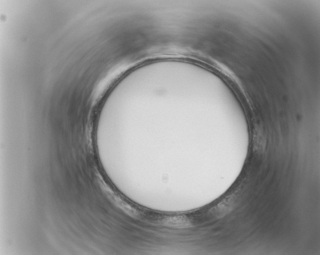 X0000054431464200508262335