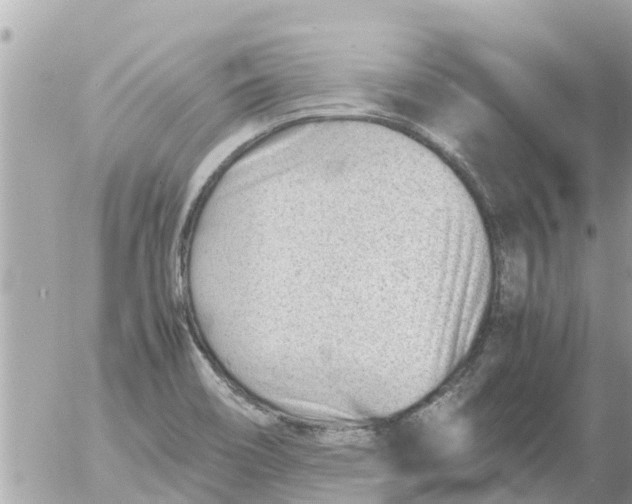 X0000054431466200508262335