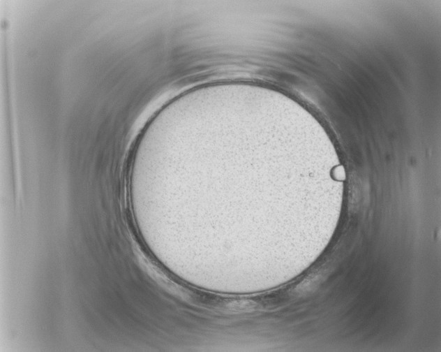 X0000054431467200508262335