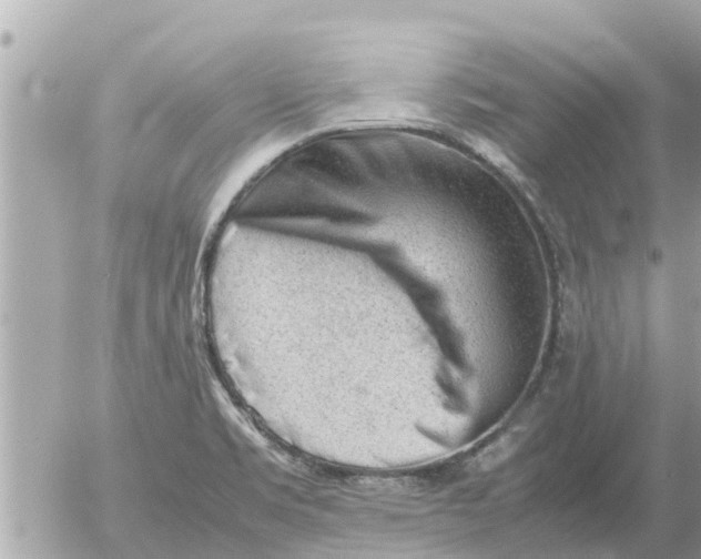 X0000054431469200508262335