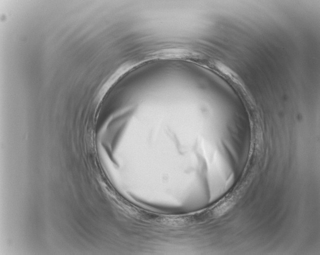 X0000054431473200508262335