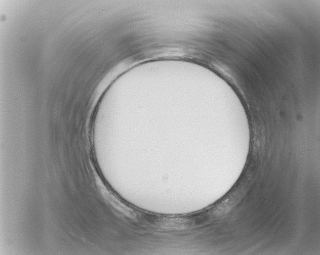 X0000054431475200508262335