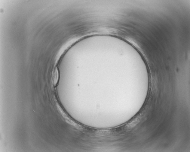 X0000054431477200508262335