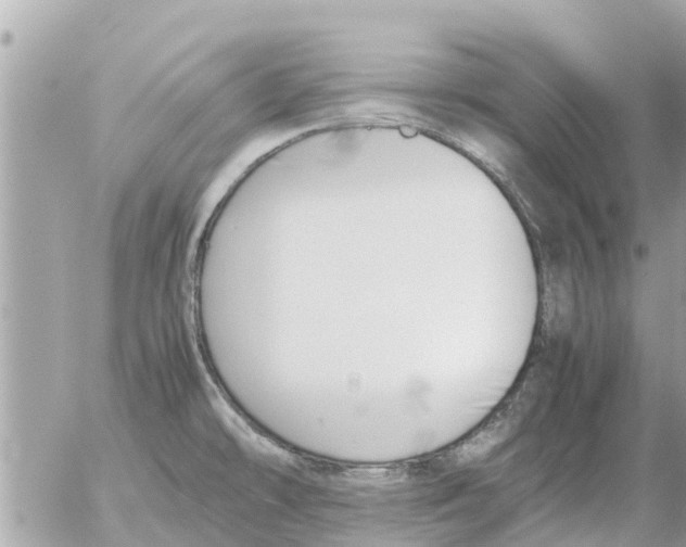 X0000054431478200508262335