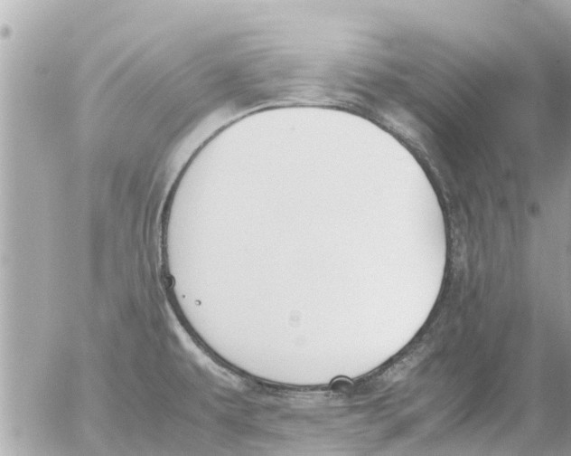 X0000054431479200508262335