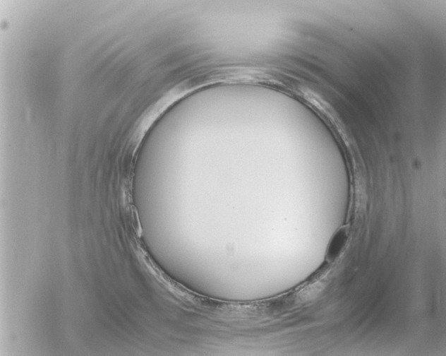 X0000054431481200508262335