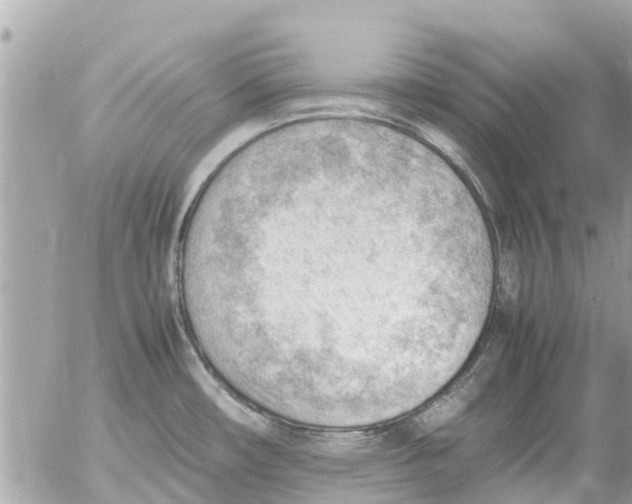 X0000054431482200508262335