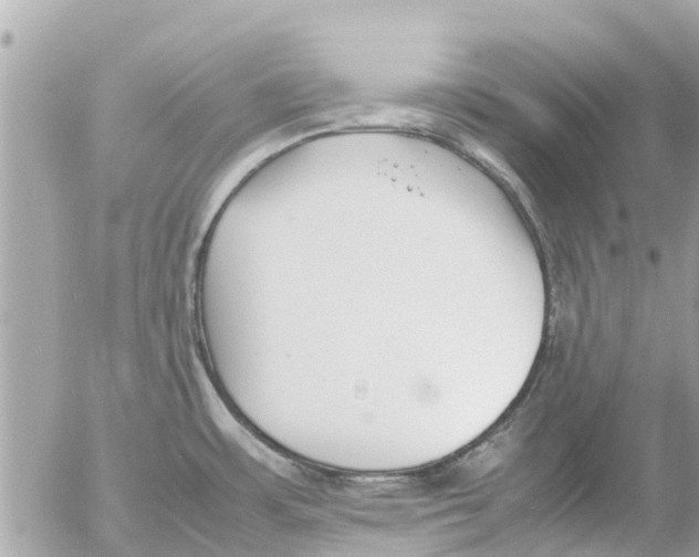 X0000054431483200508262335