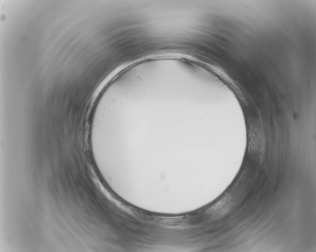 X0000054431484200508262335