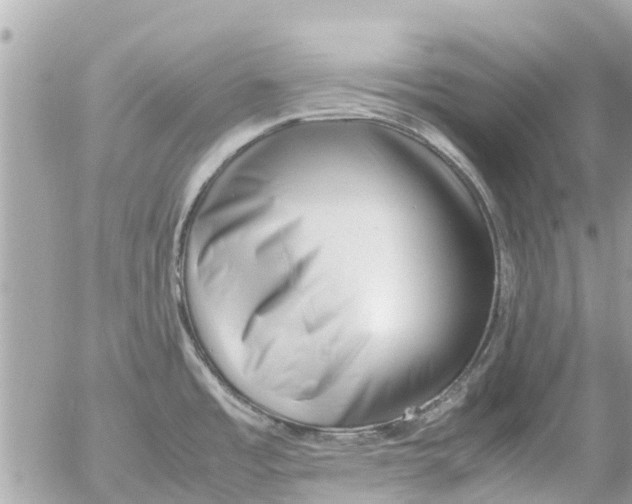 X0000054431485200508262335