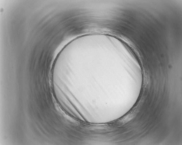 X0000054431486200508262335