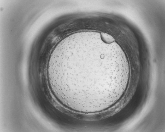 X0000054431487200508262335