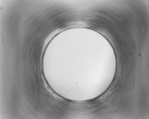 X0000054431488200508262335