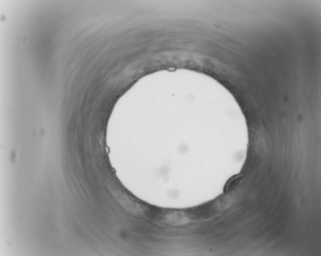 X0000054431489200508262334