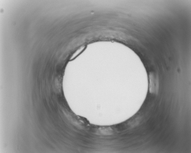 X0000054431491200508262334