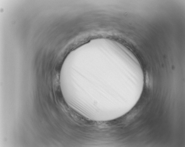 X0000054431492200508262334