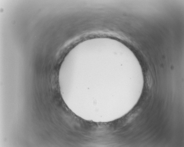 X0000054431494200508262334