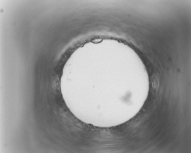 X0000054431495200508262334